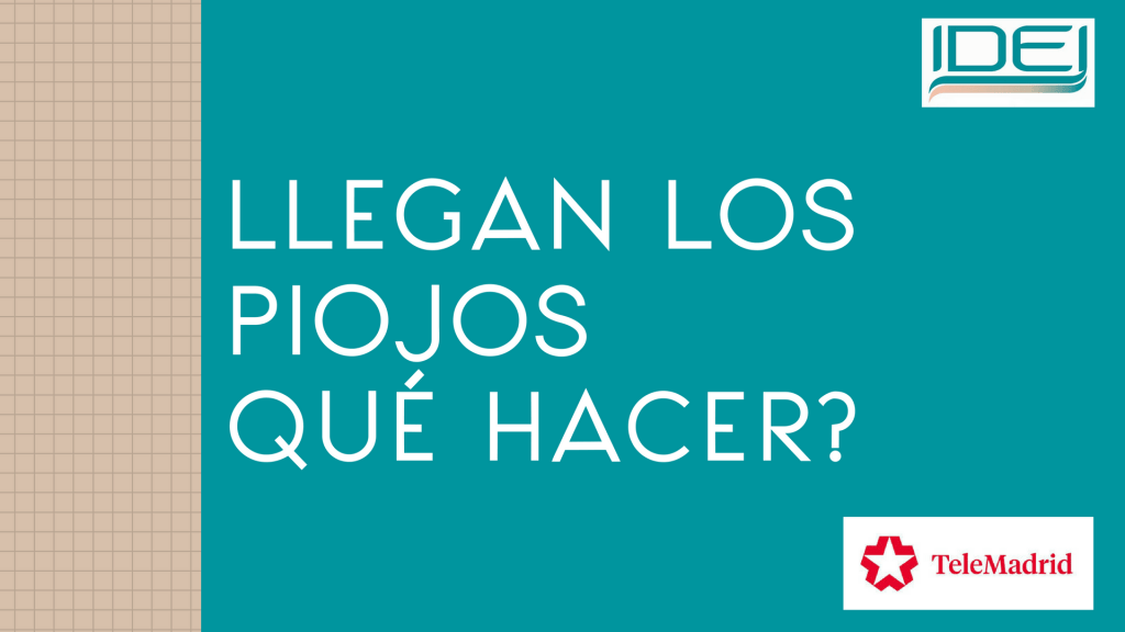 Llegan los piojos. Qué hacer